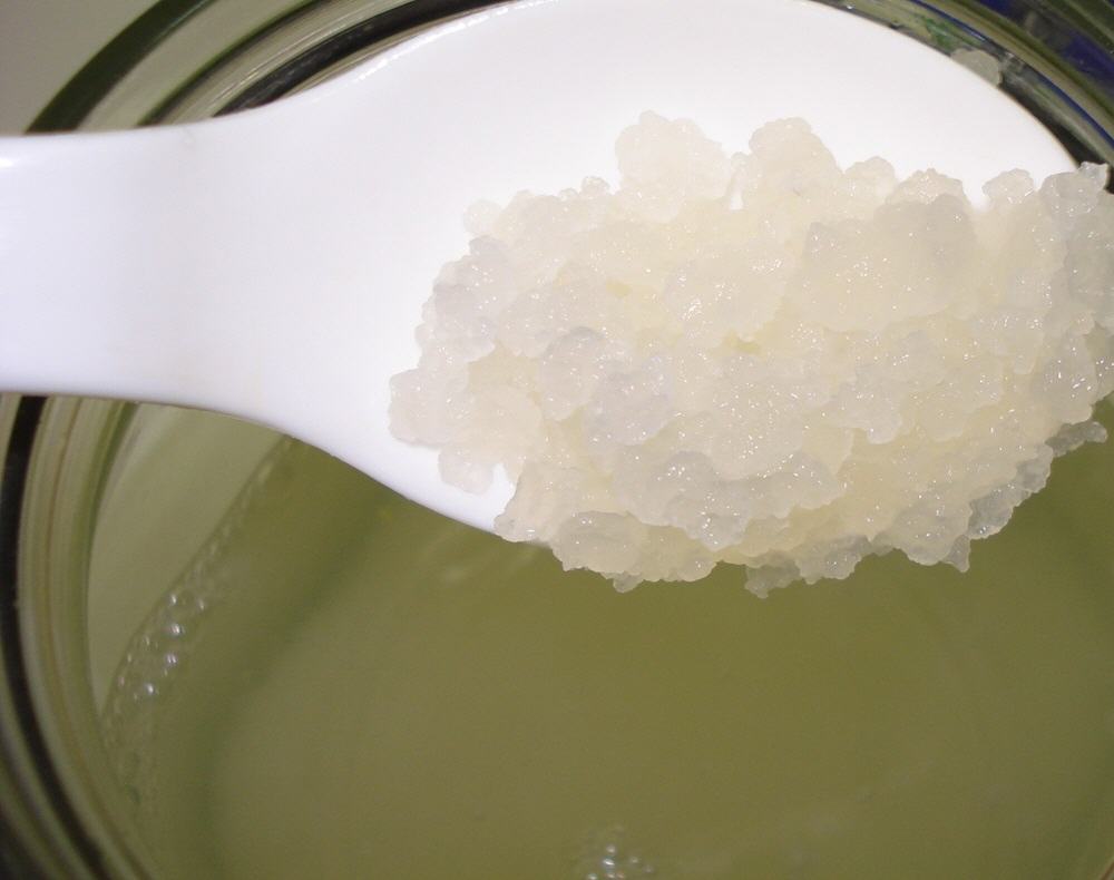 Japankristalle werden nach dem S&auml;ubern bzw. Absp&uuml;len wieder frisch zu Wasserkefir angesetzt.
