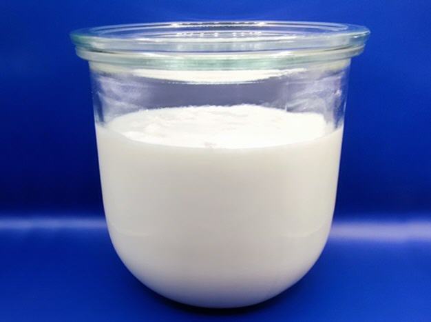 Frischer Kefir, der traditionell mit Kefirknollen hergestellt wurde.