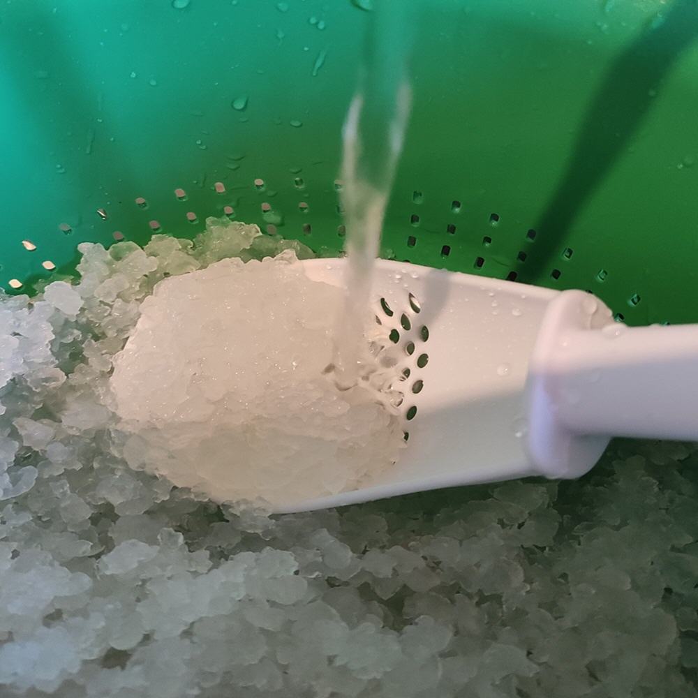 Kefirkristalle werden in einem Sieb mit Trinkwasser abgesp&uuml;lt.