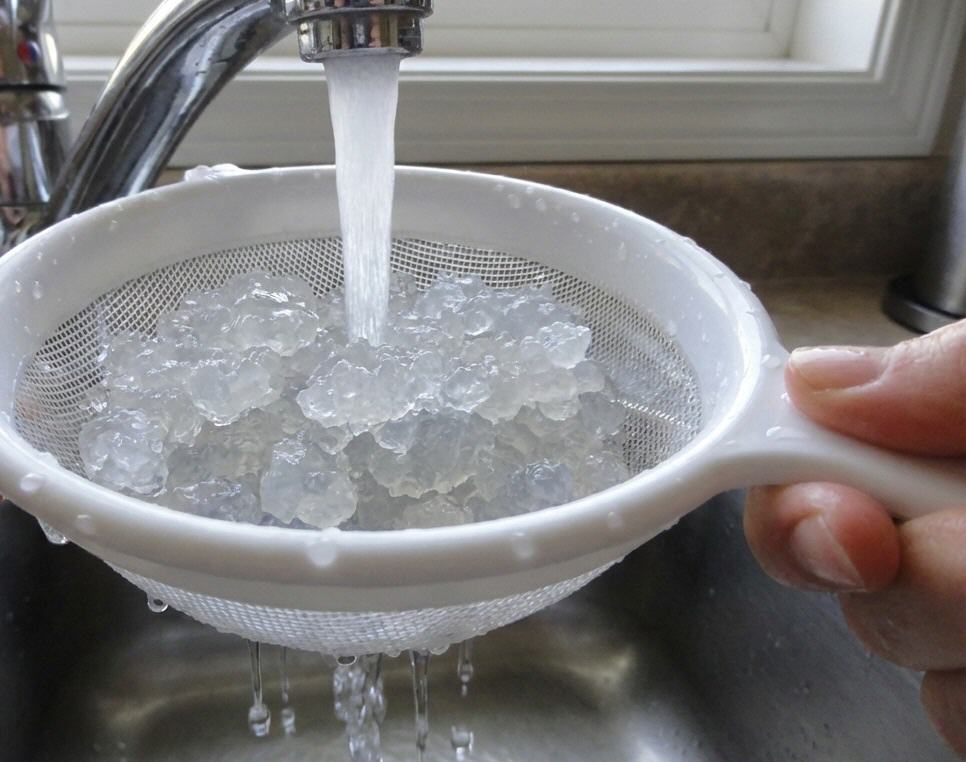 Kefirkristalle werden mit Trinkwasser abgesp&uuml;lt und zum Trocknen vorbereitet.