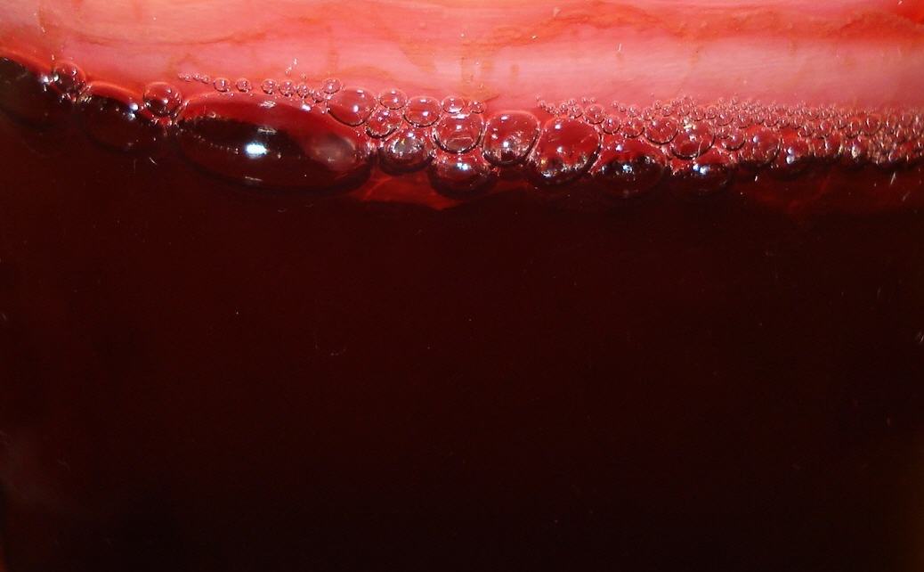 Der sog. Kombucha-Pilz lagert in Ansatzflüssigkeit.