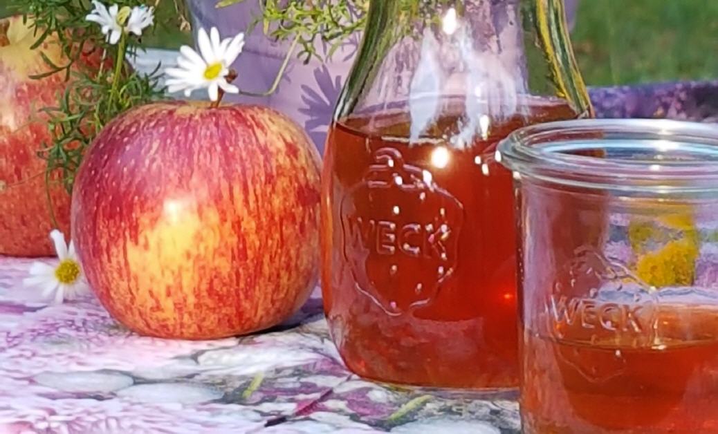 Selbstgemachter Kombucha in Gläsern, daneben liegen frische Äpfel | Hinweis: Selbstgemachter Kombucha kann auch etwas Alkohol enthalten.