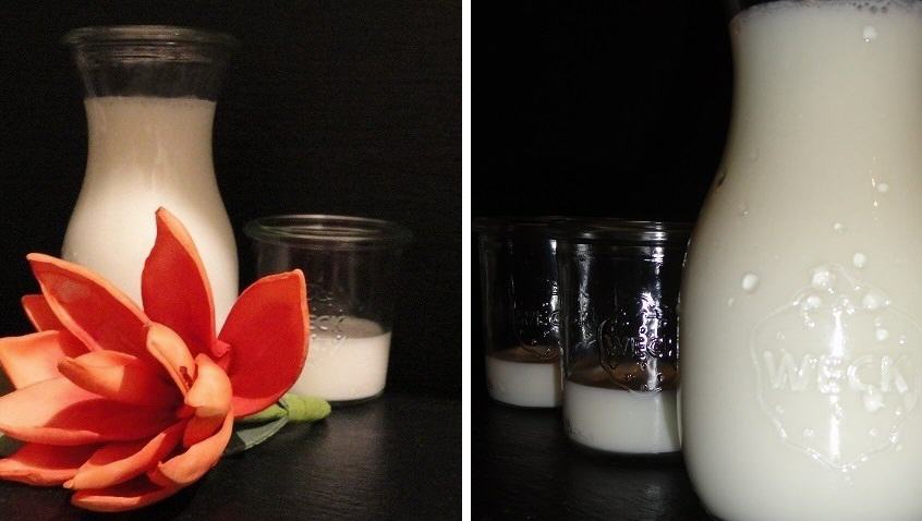 Glasgef&auml;&szlig;e mit frischem Kefir (Kefir hat viele Vorteile und es gibt abwechslungsreiche Rezepte.)