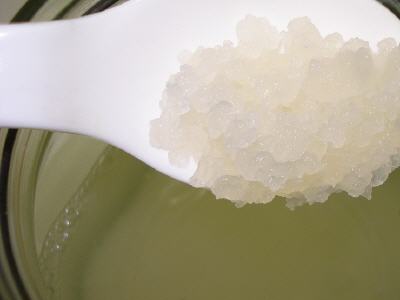 PAUSE UND AUFBEWAHREN