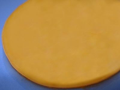 QUALITÄT DER KOMBUCHAKULTUREN