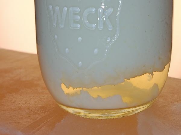 KEFIR MOLKE