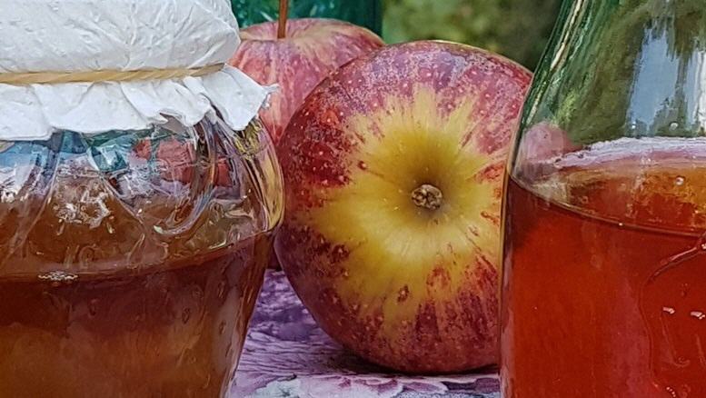 Abgedecktes Glas mit Kombucha-Ansatz sowie ein fertiges Kombucha-Getränk mit rötlicher Färbung in einer Karaffe