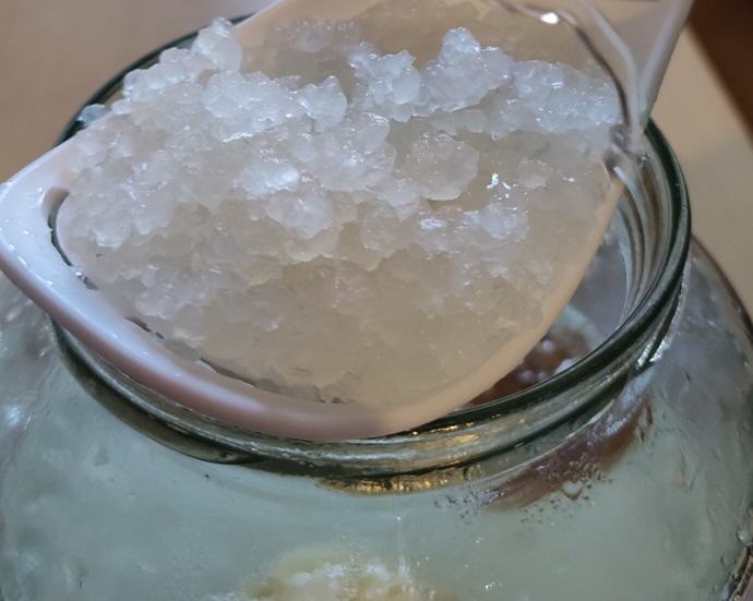 Die Wasserkefir-Kristalle werden nach dem Absp&uuml;len und S&auml;ubern zur&uuml;ck ins G&auml;rgef&auml;&szlig; gegeben.
