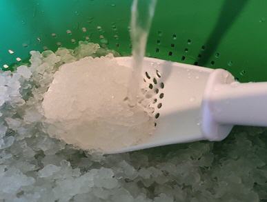 Wasserkefir-Kristalle werden mit Wasser abgesp&uuml;lt.